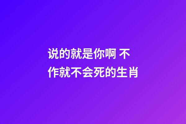 说的就是你啊 不作就不会死的生肖